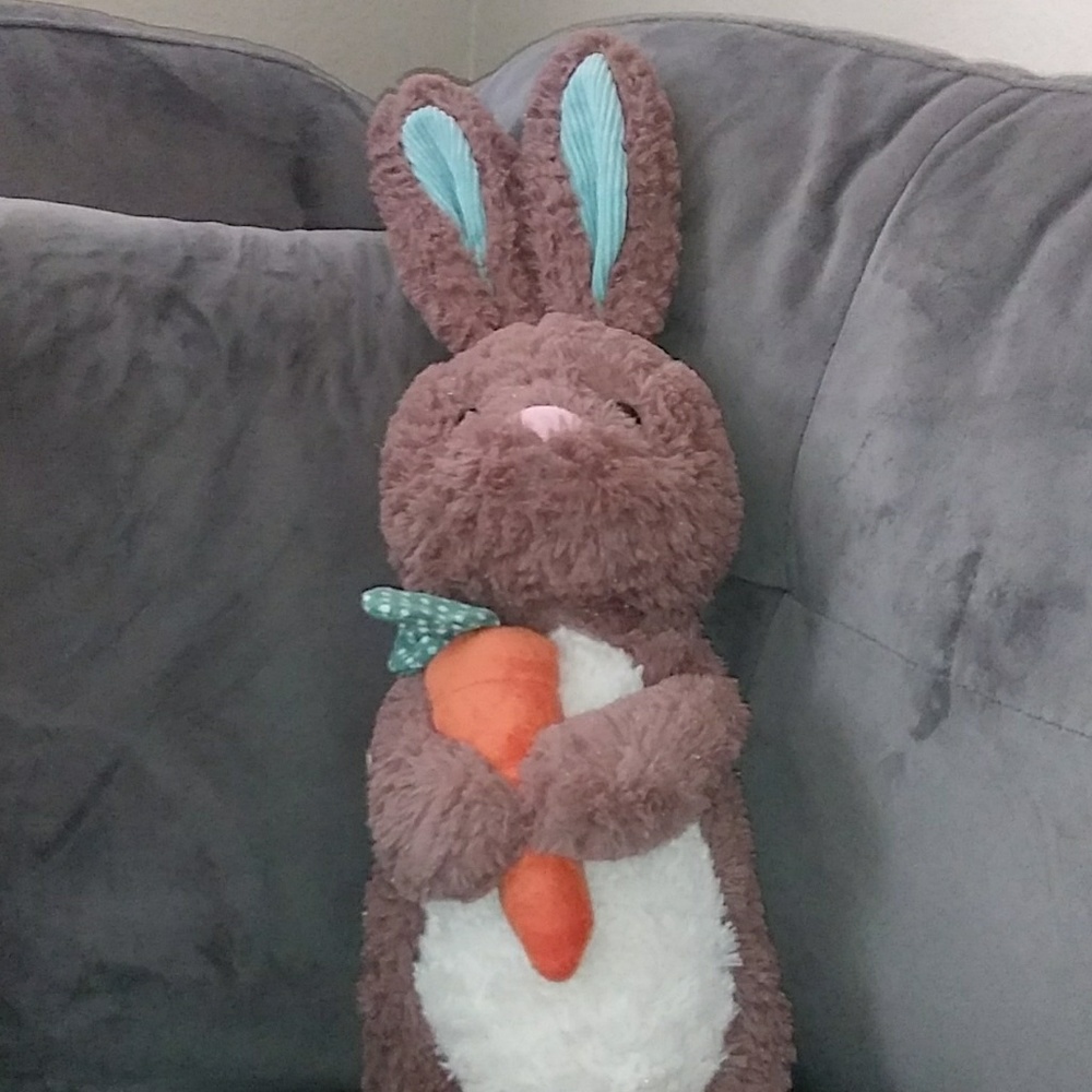 Meet your Posher, Dezaray